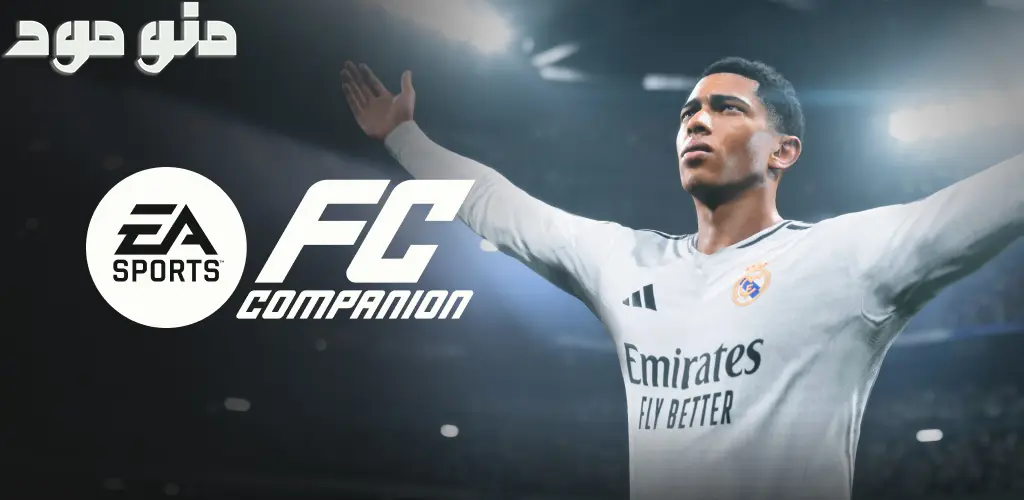 EA SPORTS FC™ 25 Companion