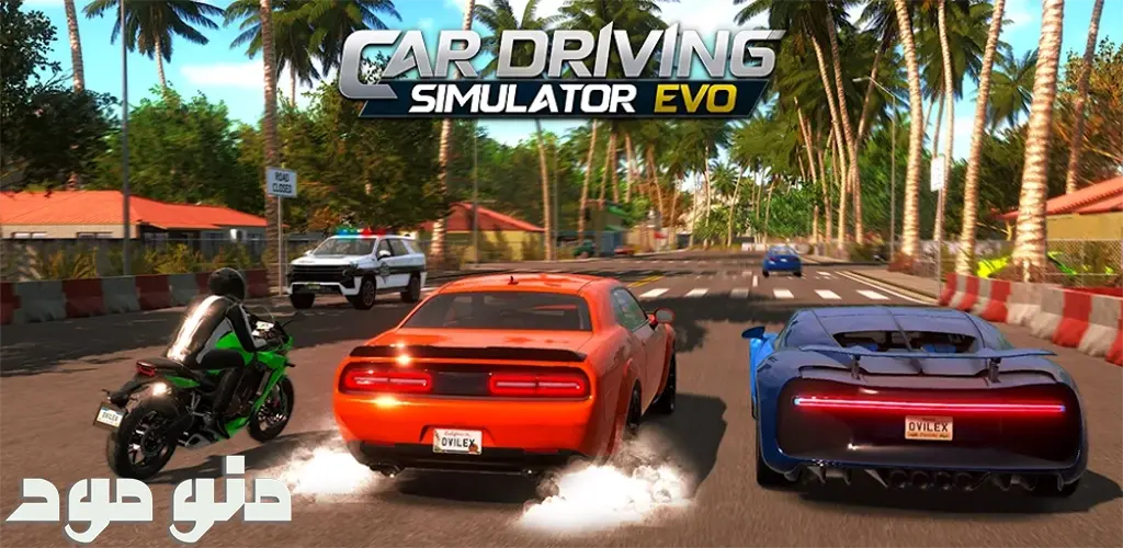 Car Racing Simulator : EVO + Mod