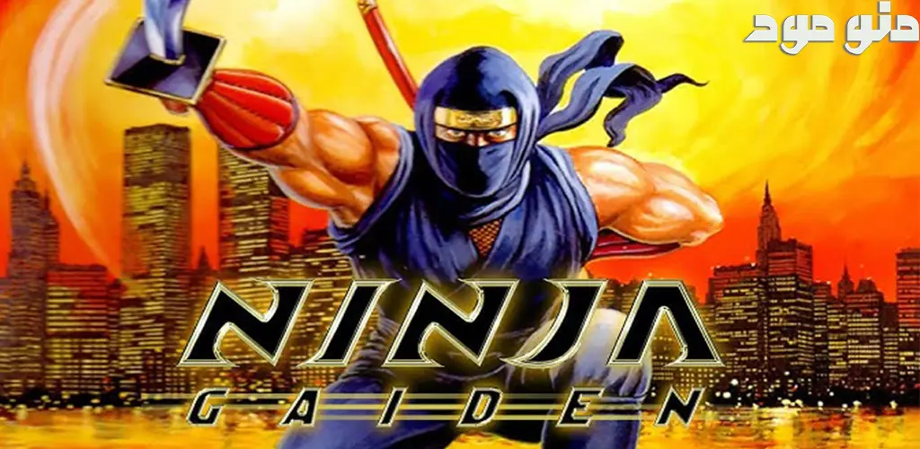 Ninja Gaiden + Mod