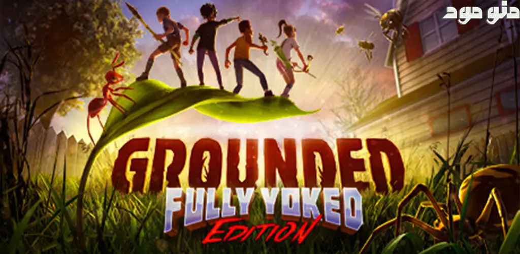 Grounded + Mod